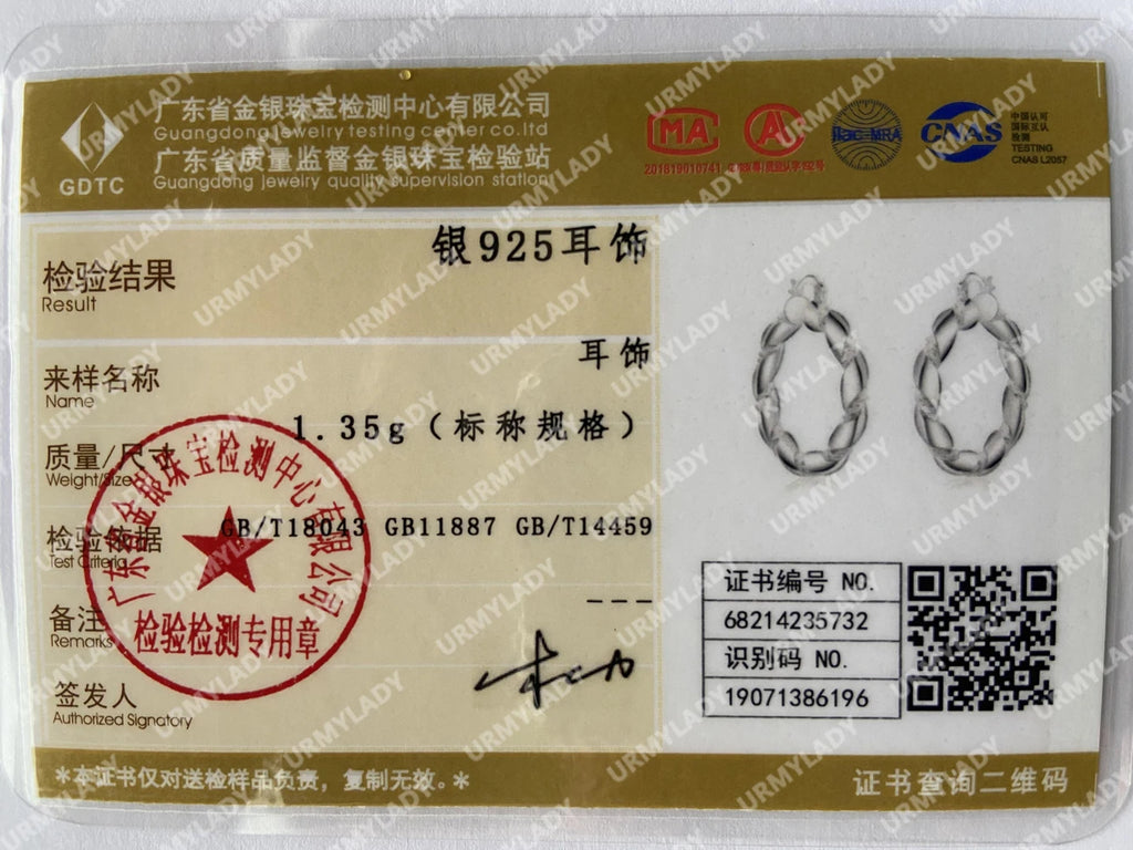 Hot new High quality 925 Sterling Silver hoop Earrings for Woman fashion party wedding Jewelry elegant Christmas Gifts