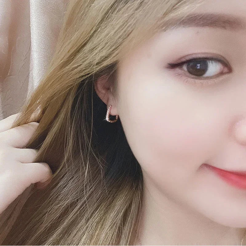 Original designer 925 Sterling Silver Elegant Crystal Jewelry Fashion Zircon Circle Hoop Earrings for Woman Wedding Party Gift